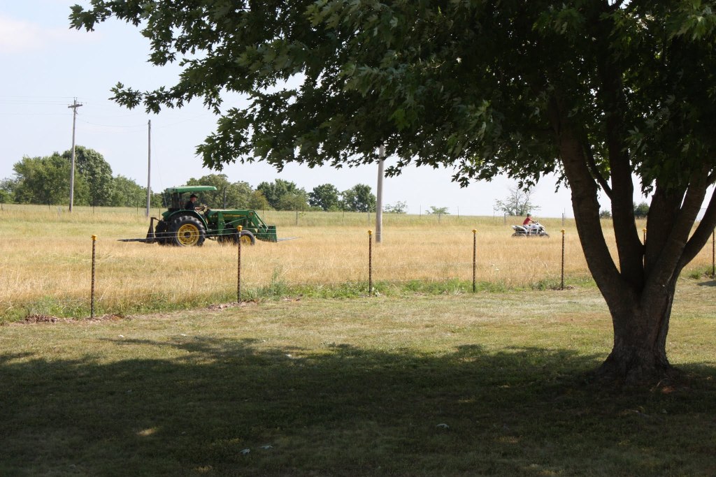 Farm Journal, Brown’s Limousin –&nbsp;2012