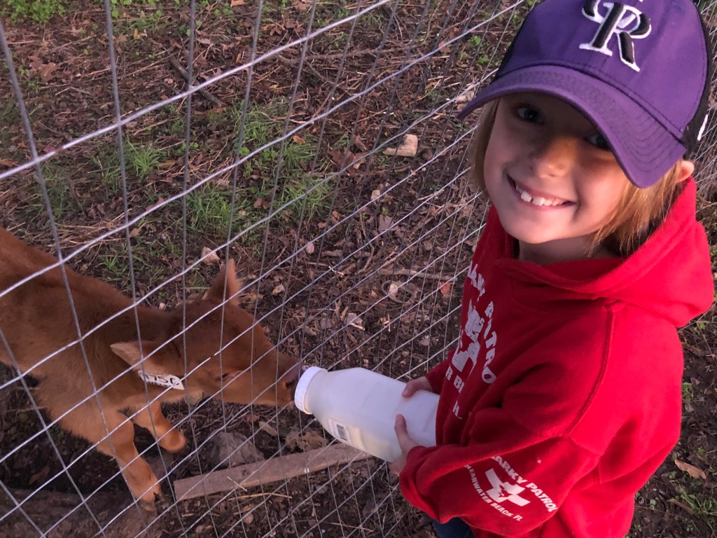 Farm Journal. Year 6, Day&nbsp;311
