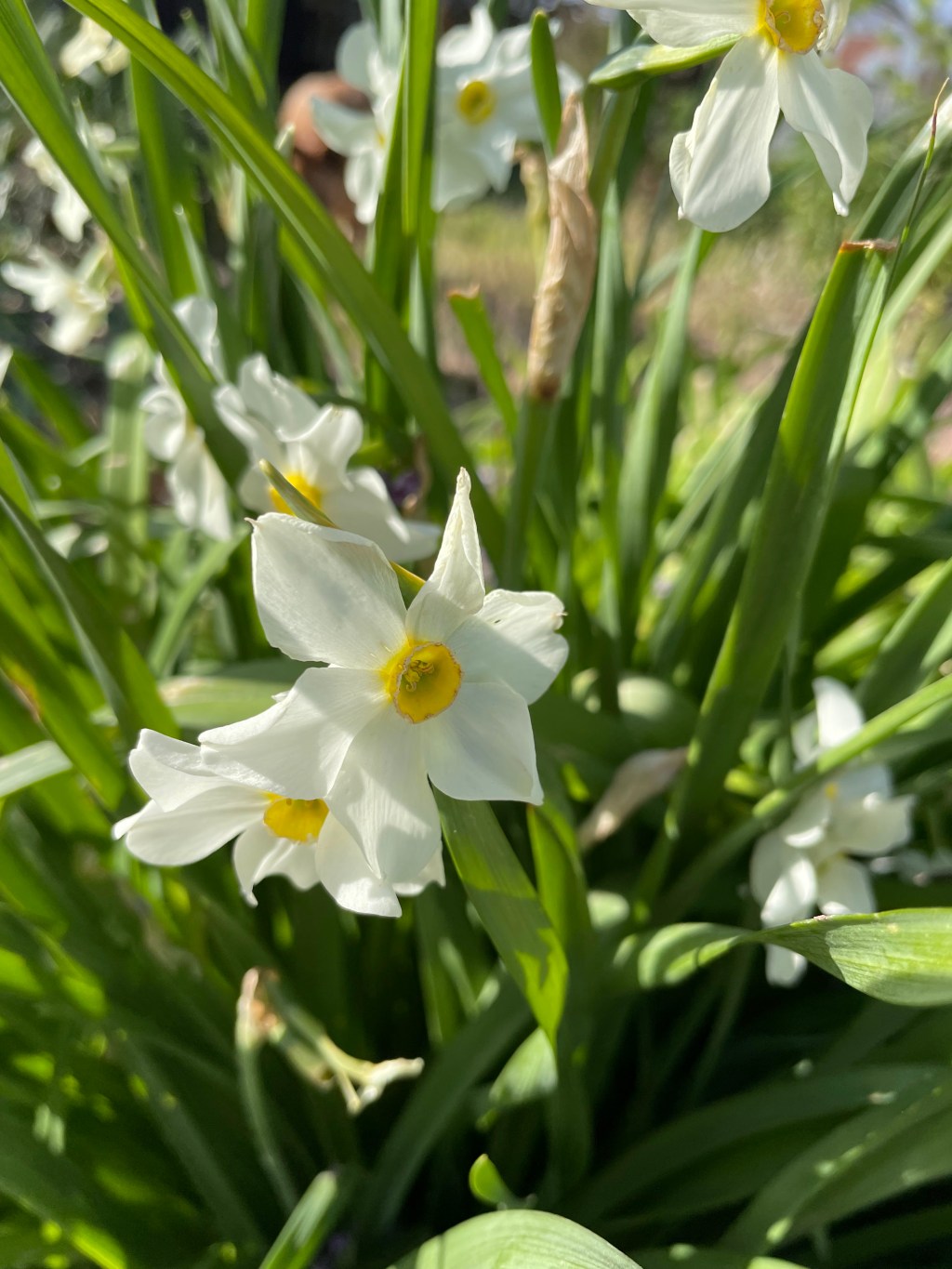 Farm Journal, Day&nbsp;1725
