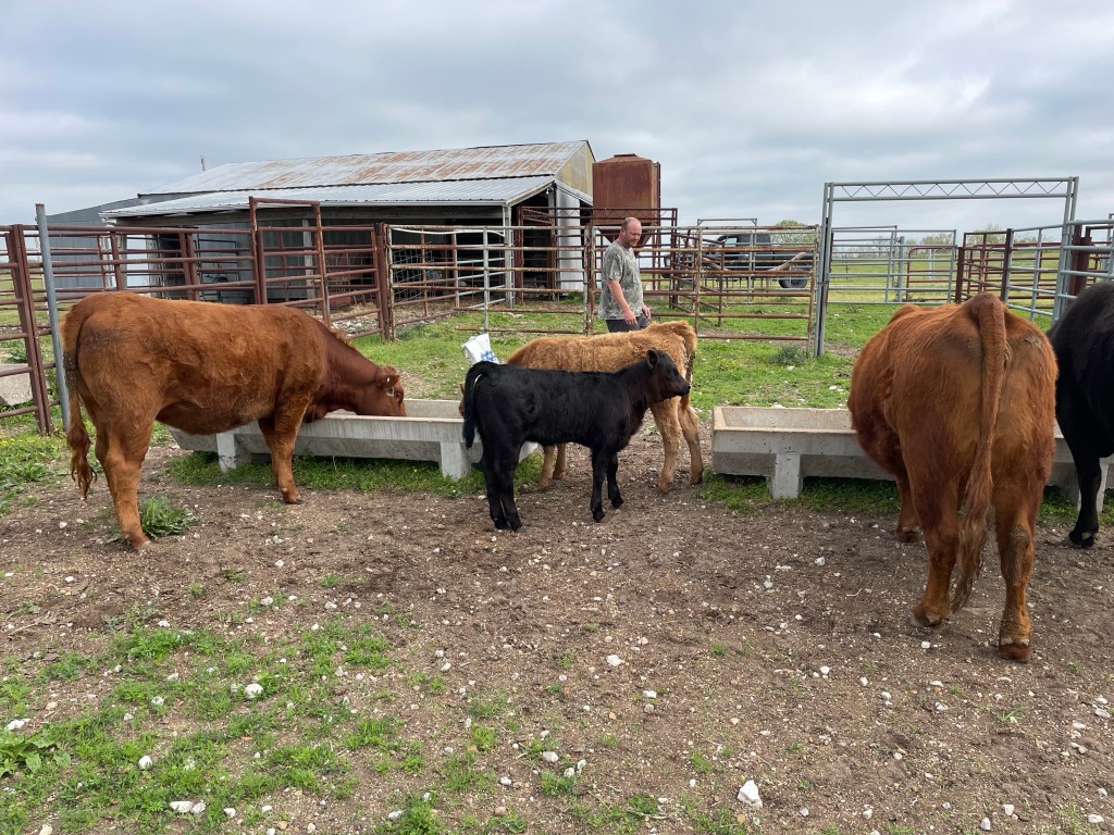 Farm Journal, Day&nbsp;1718