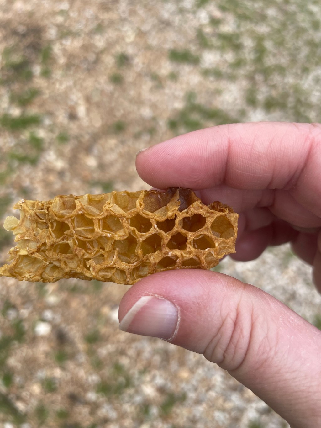 Farm Journal, Day&nbsp;1746