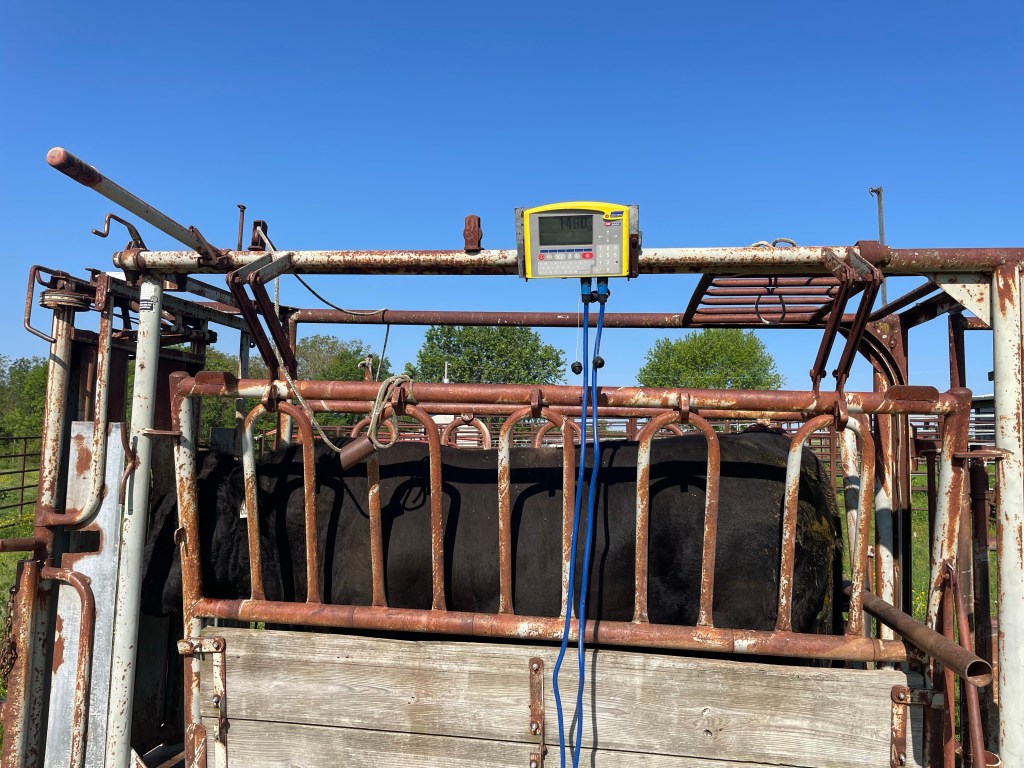 Farm Journal, Day&nbsp;1732