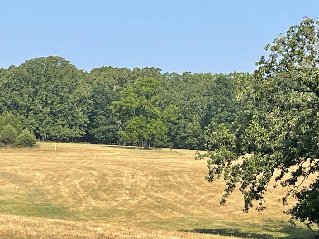 Farm Journal, Day&nbsp;1753