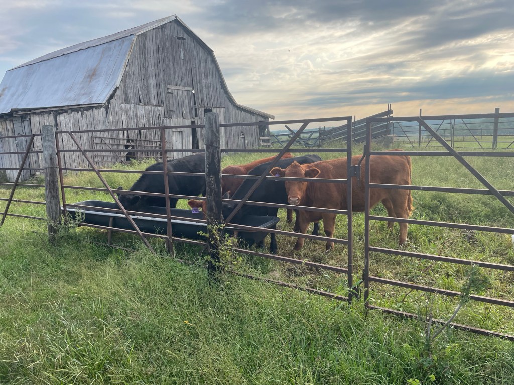 Farm Journal, Day&nbsp;1940