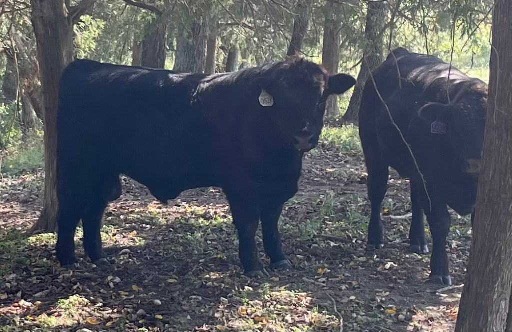 Farm Journal, Day&nbsp;1857