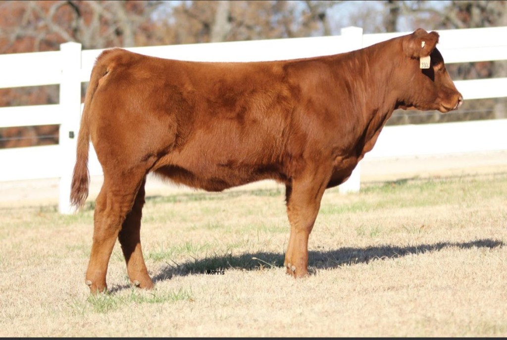 Farm Journal, Day&nbsp;1933