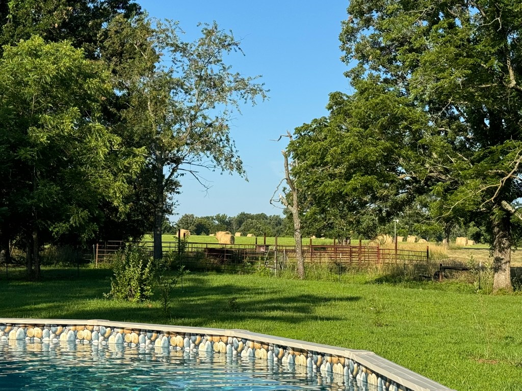 Farm Journal, Day&nbsp;2149