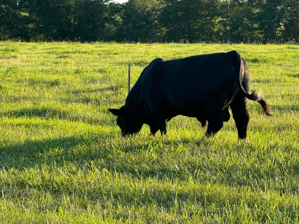 Farm Journal, Day&nbsp;2473