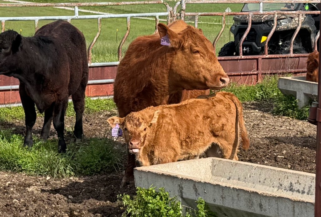 Farm Journal, Day&nbsp;2,484