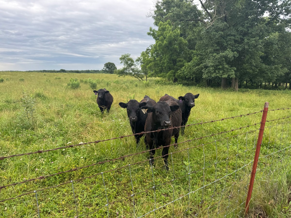 Farm Journal, Day&nbsp;2493