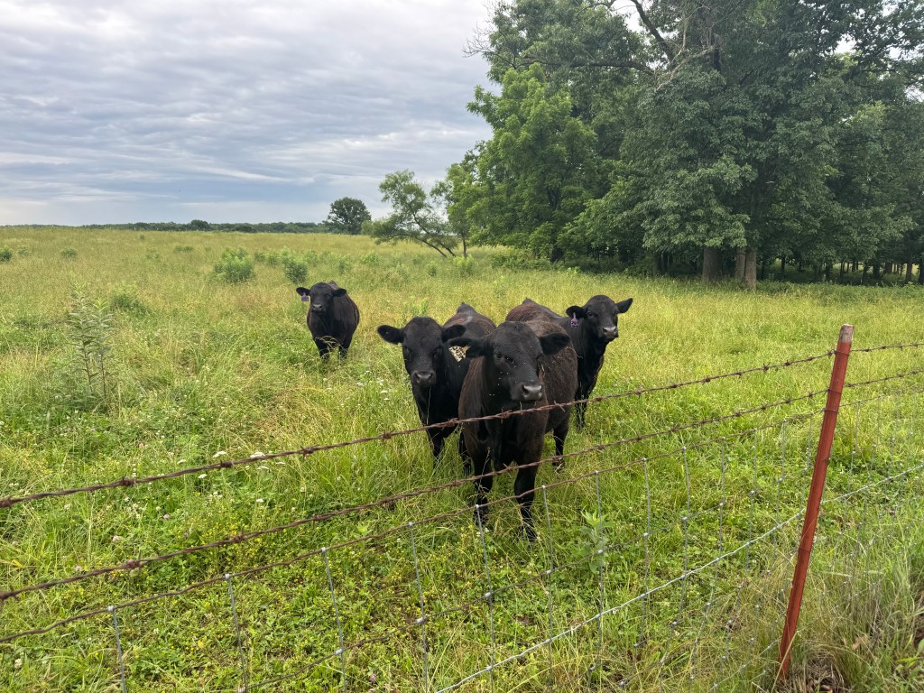 Farm Journal, Day&nbsp;2493