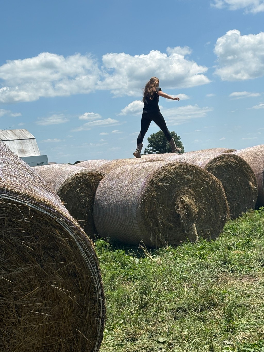 Farm Journal. Year 6, Day&nbsp;315