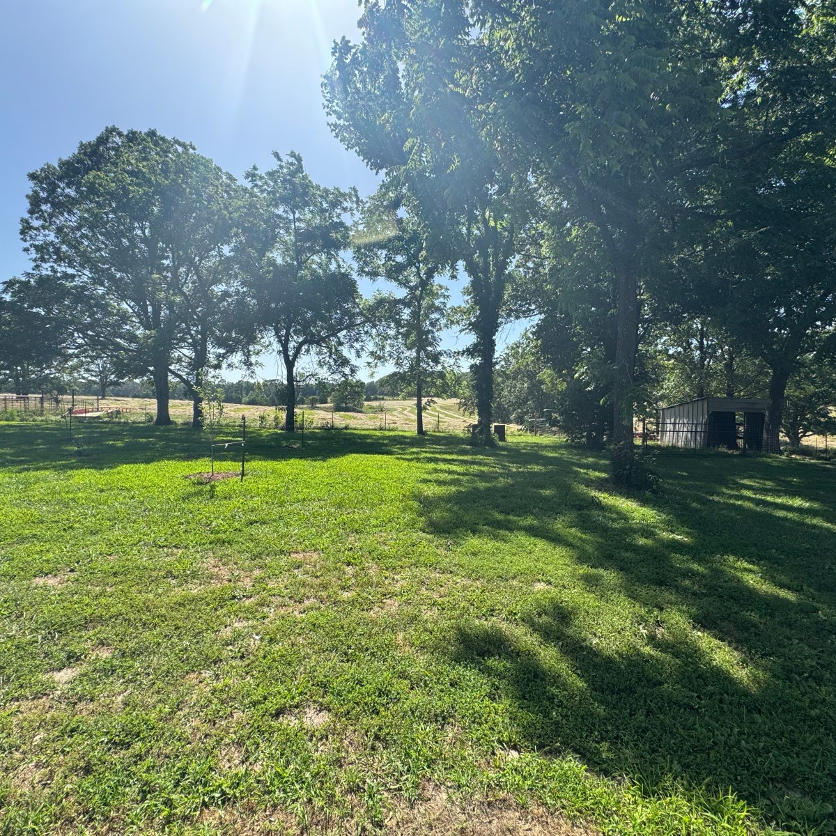 Farm Journal, Year 7, Day&nbsp;1