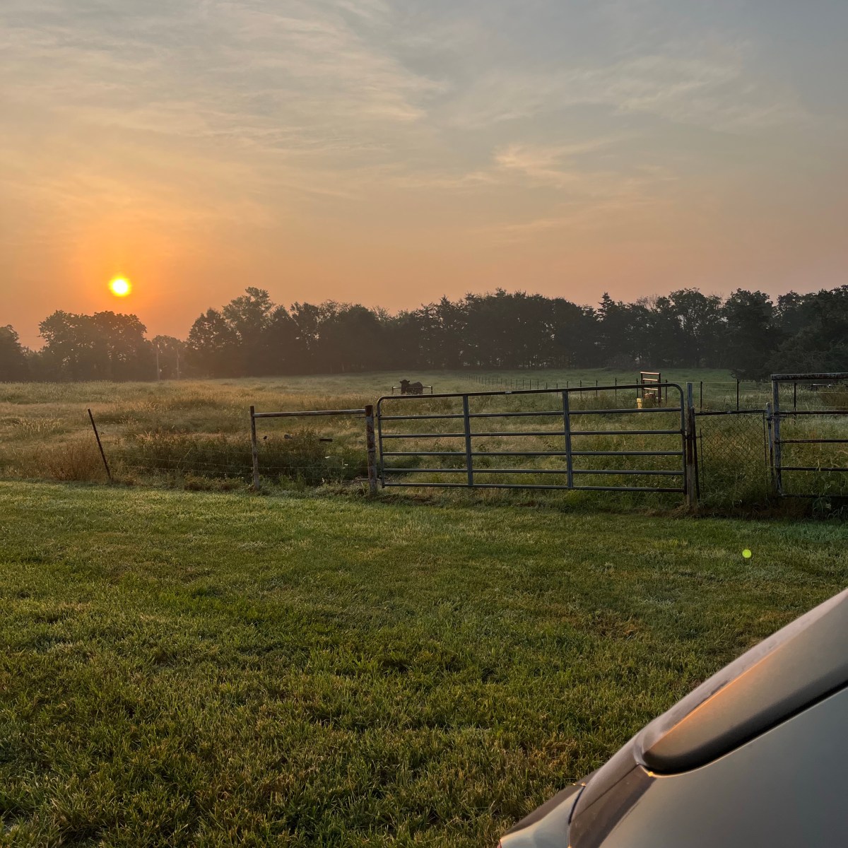 Farm Journal, Year 7, Day&nbsp;223