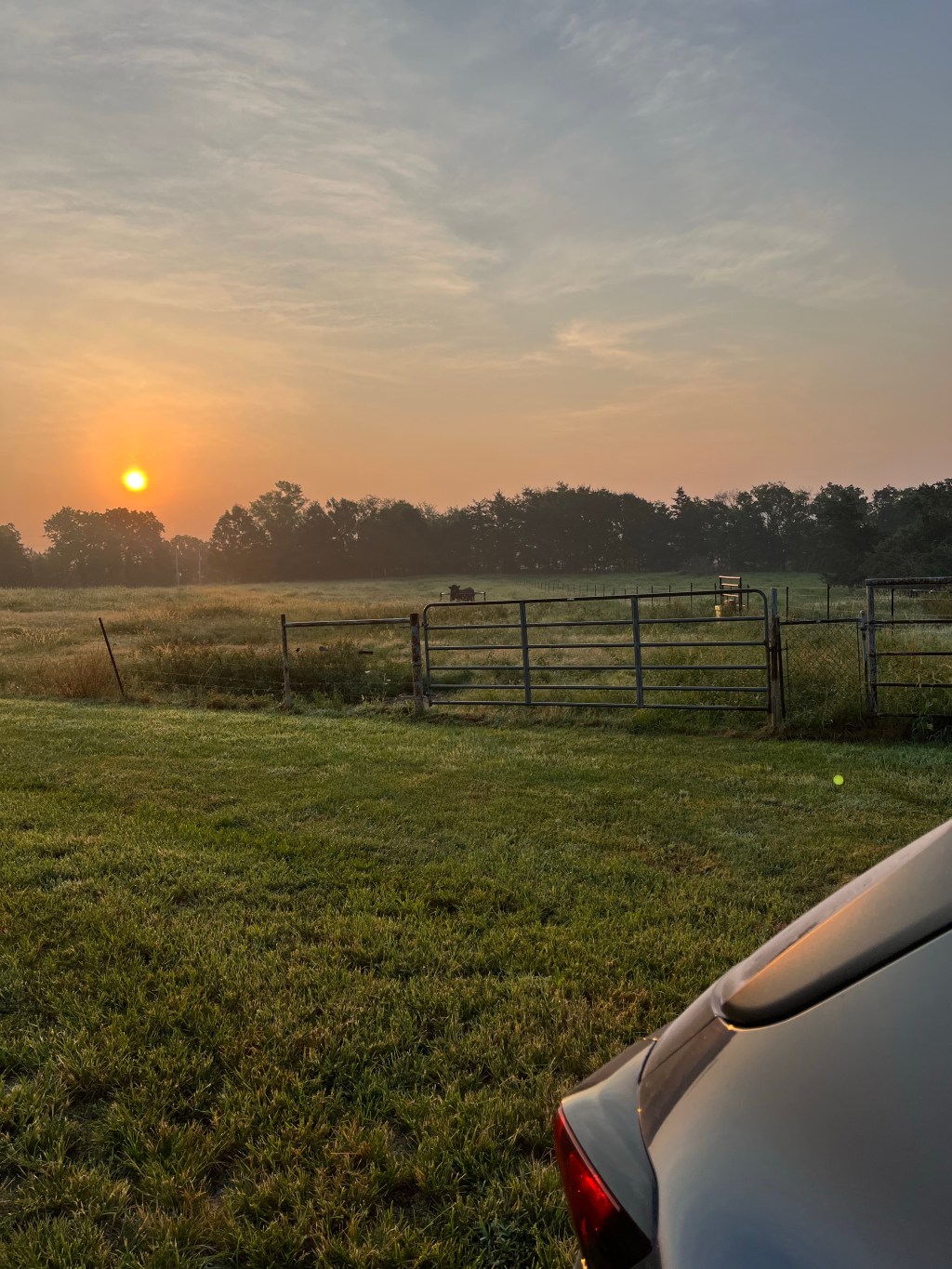 Farm Journal, Year 7, Day&nbsp;223